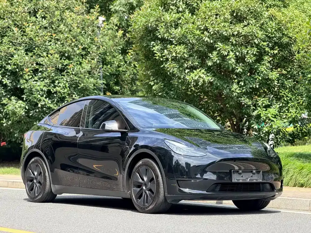 Tesla Model Y — фото 9