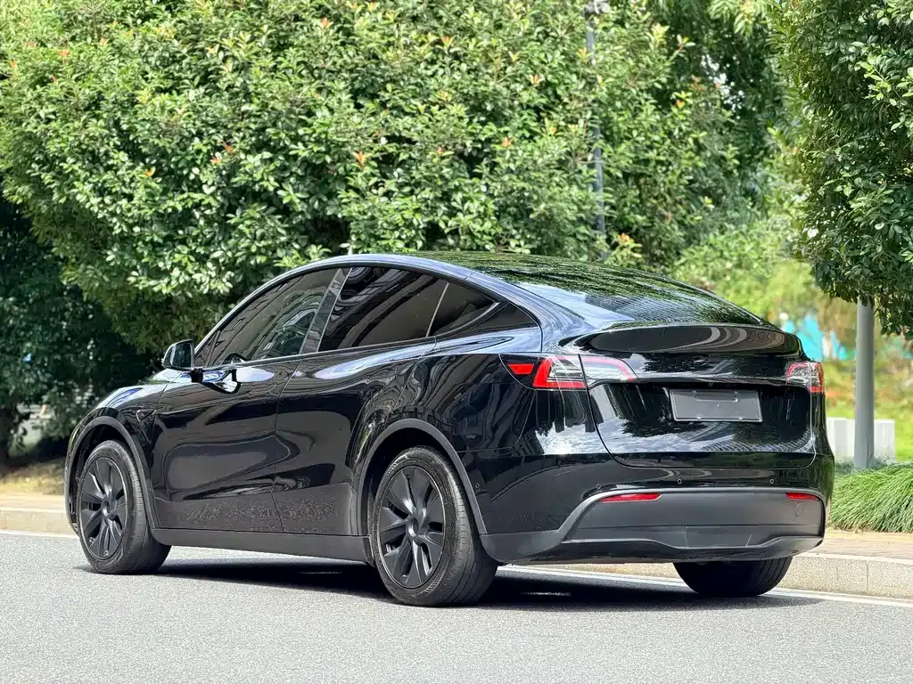 Tesla Model Y — фото 10