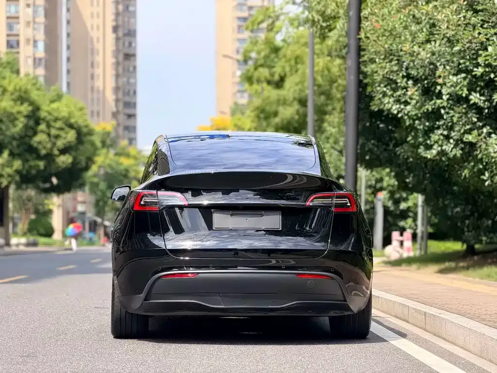 Tesla Model Y — фото 8