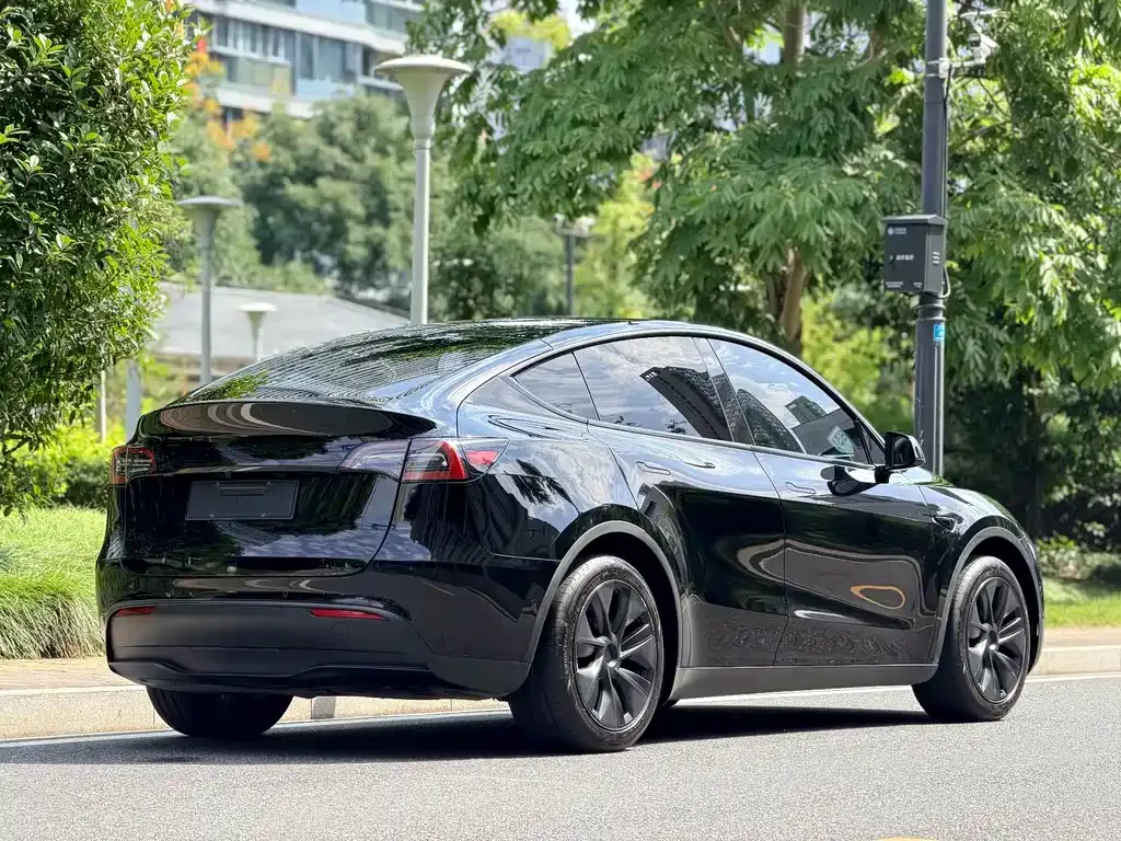 Tesla Model Y — фото 7