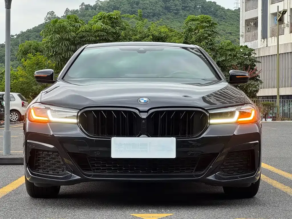 BMW 5 Series (Import) — фото 9