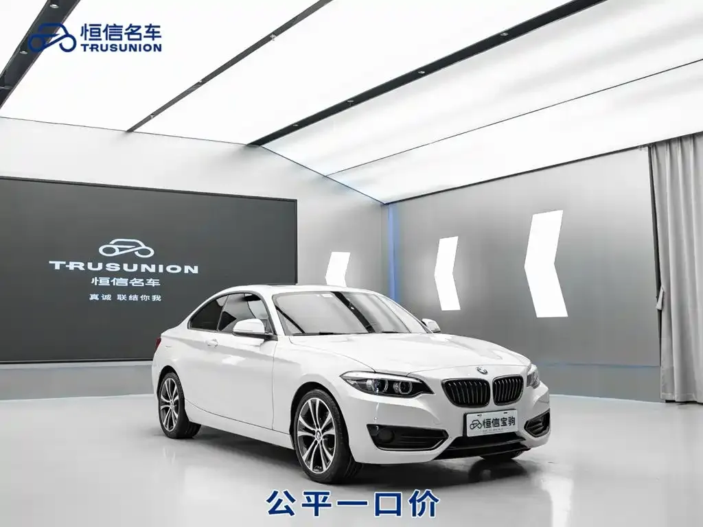 BMW 2 Series (Import) — фото 1