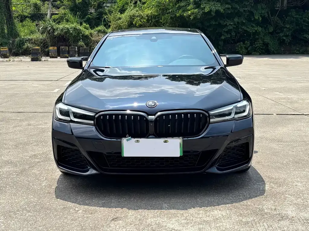 BMW 5 Series New Energy — фото 10