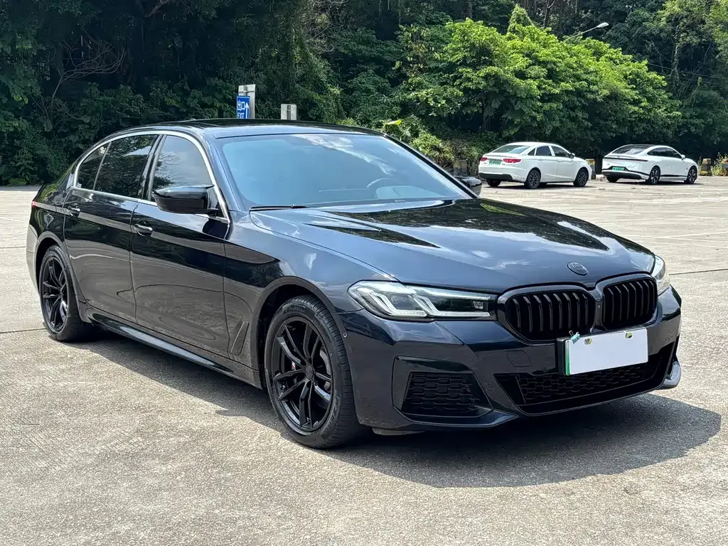 BMW 5 Series New Energy — фото 5