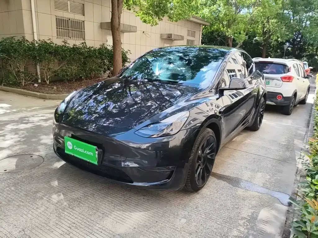 Tesla Model Y — фото 10
