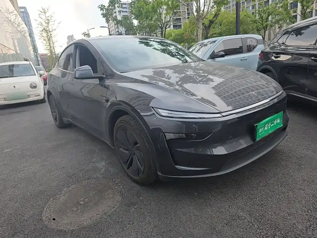 Tesla Model Y — фото 10