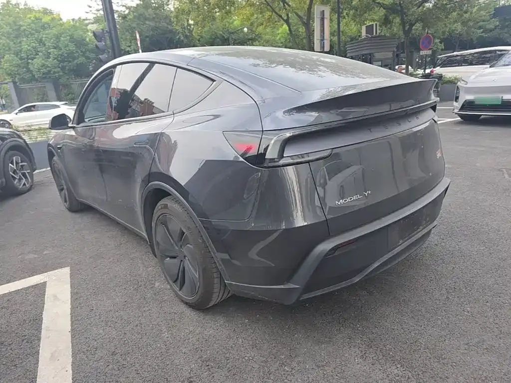 Tesla Model Y — фото 8