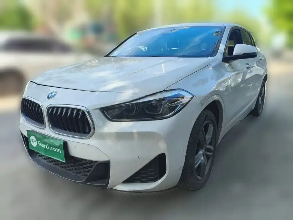 BMW X2 — фото 1