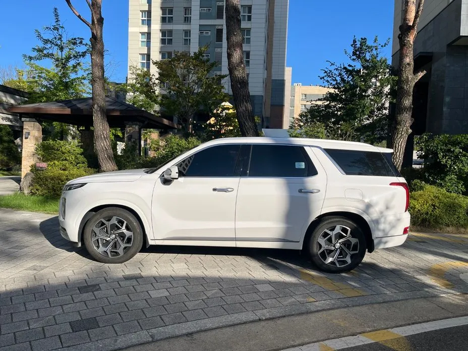 Hyundai Palisade — фото 3