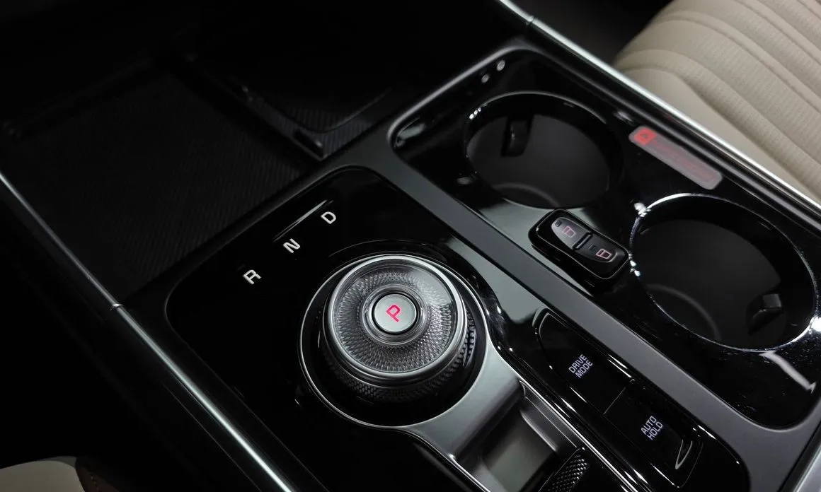 Kia Carnival — фото 10