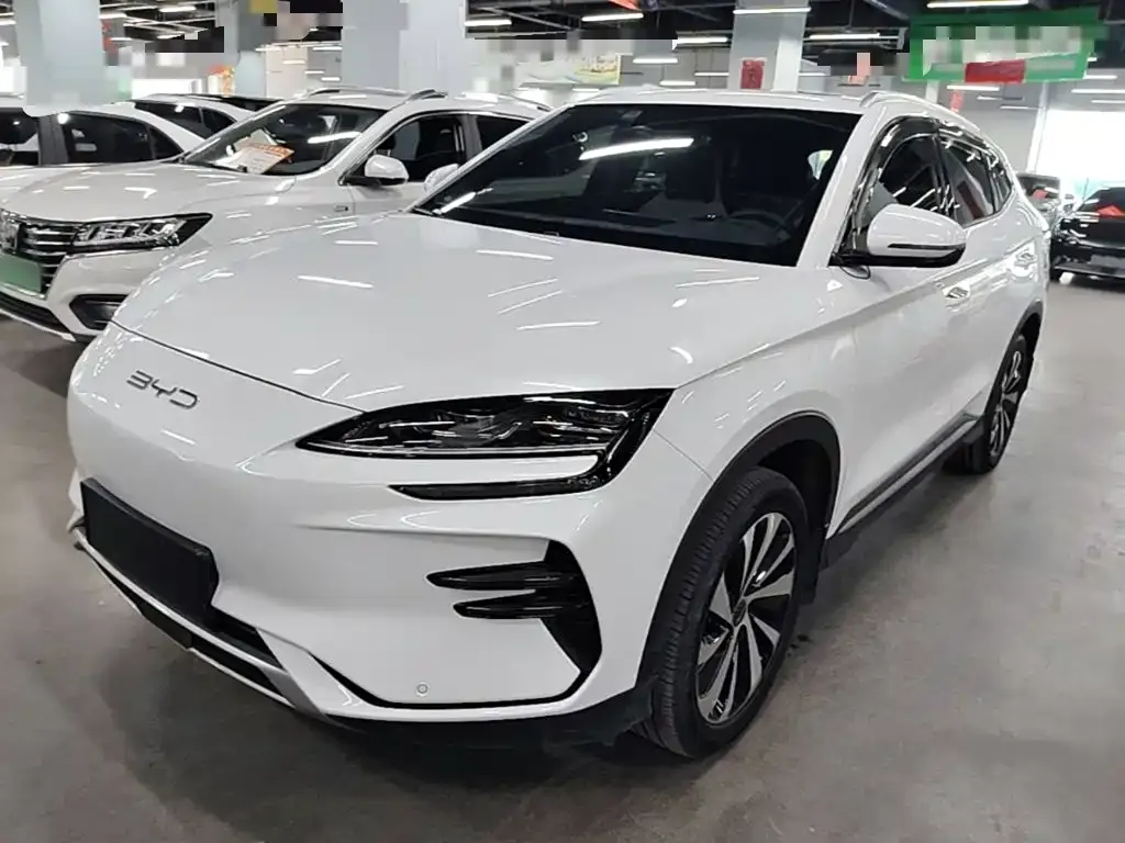 BYD PLUS New Energy — фото 9