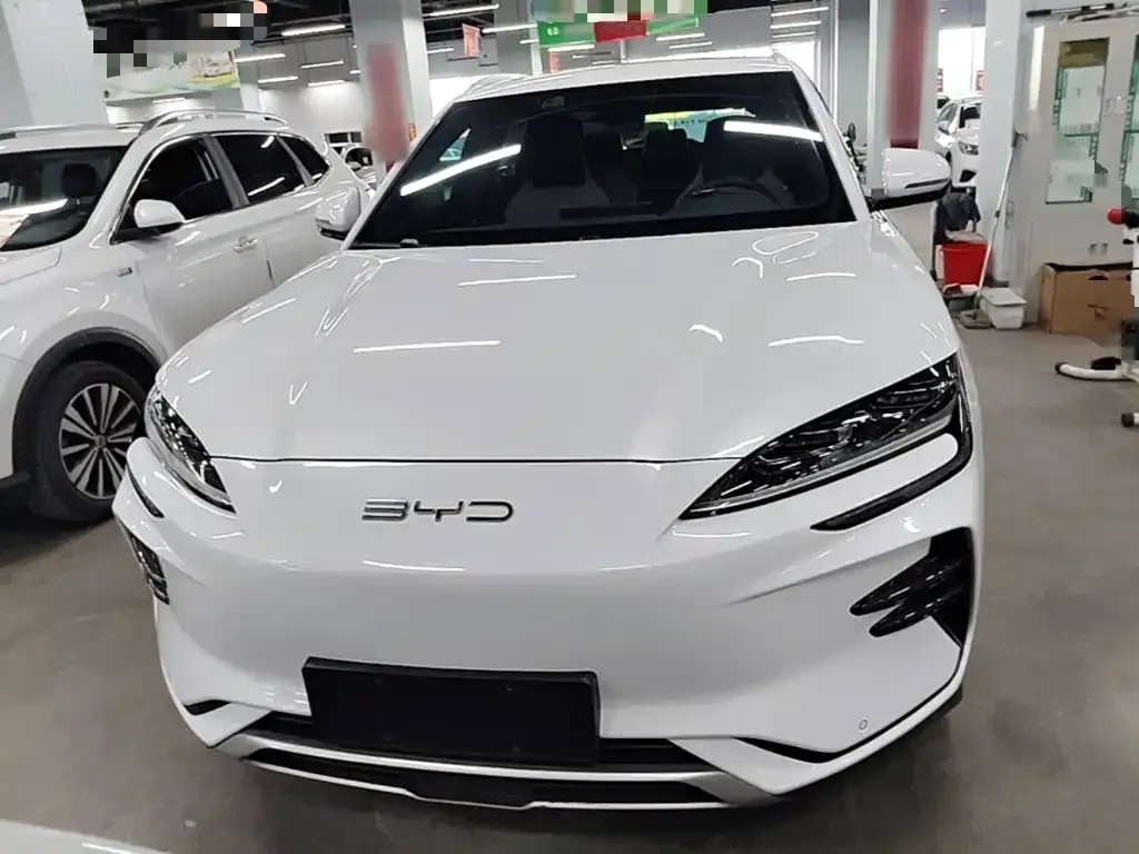 BYD PLUS New Energy — фото 3
