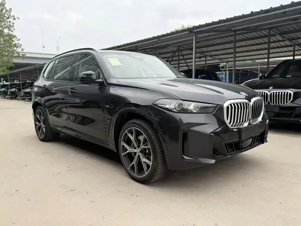 BMW X5 — фото 6