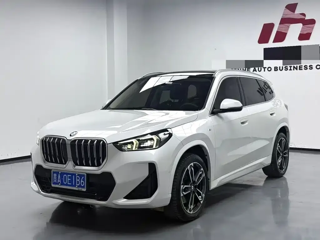 BMW X1 — фото 1