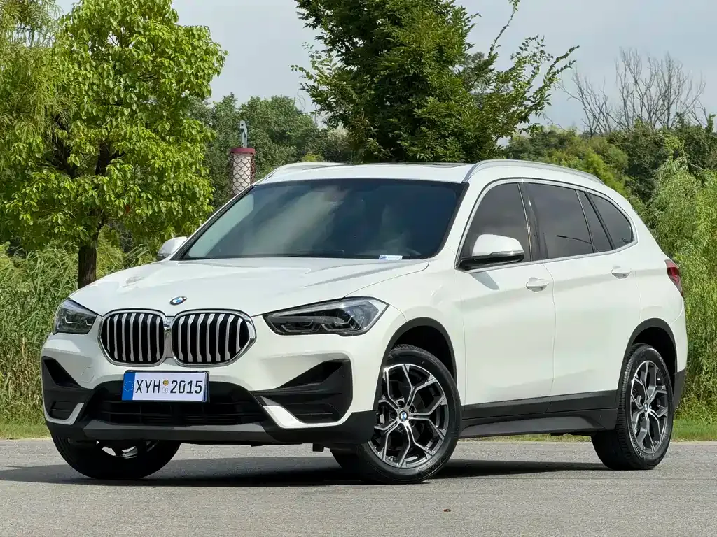 BMW X1 — фото 1