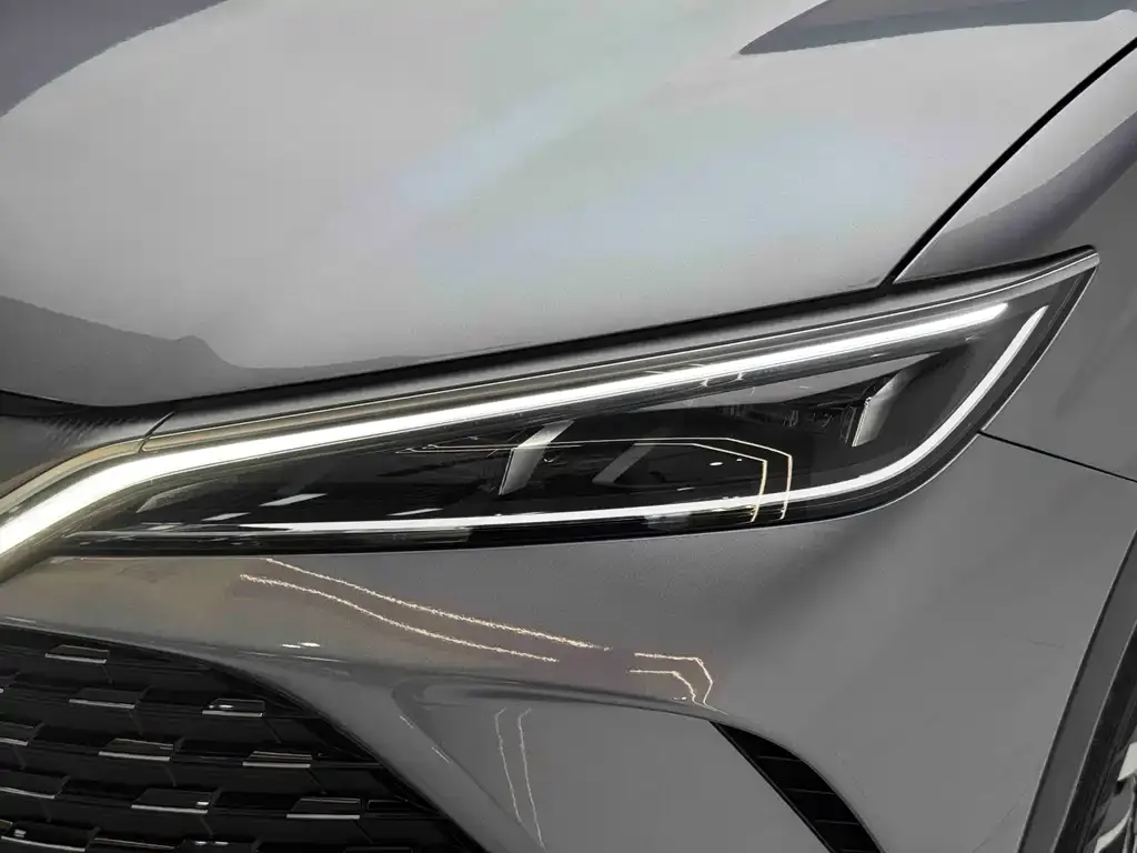 BYD L DM-i — фото 2