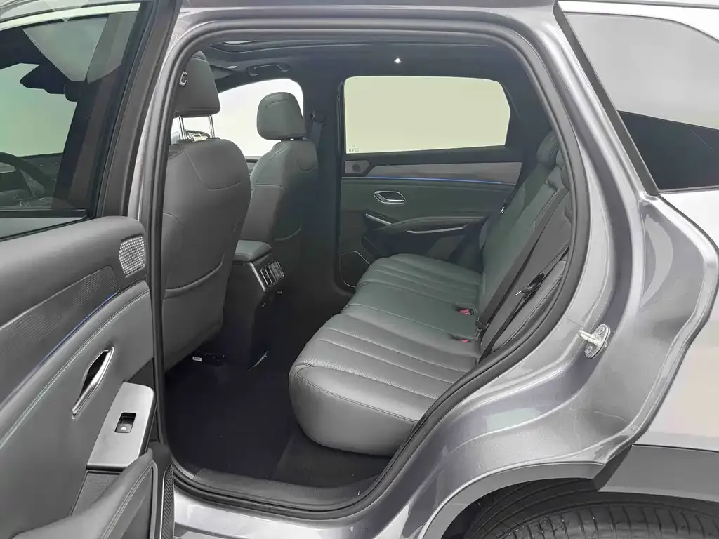 BYD L DM-i — фото 10
