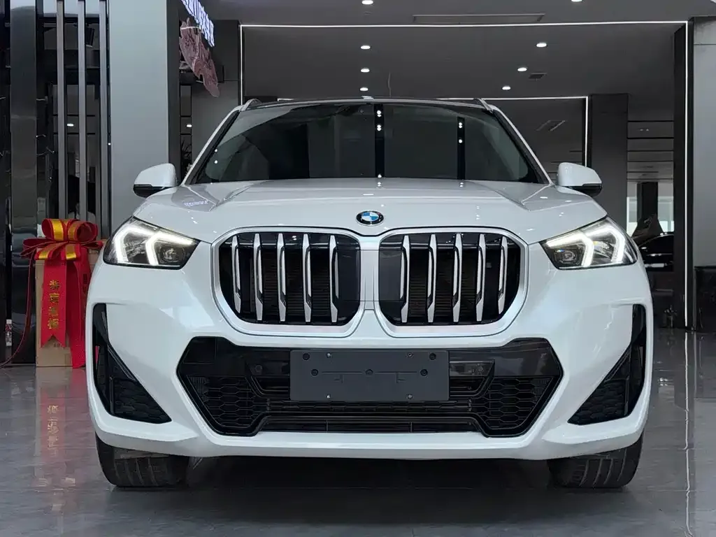 BMW X1 — фото 9