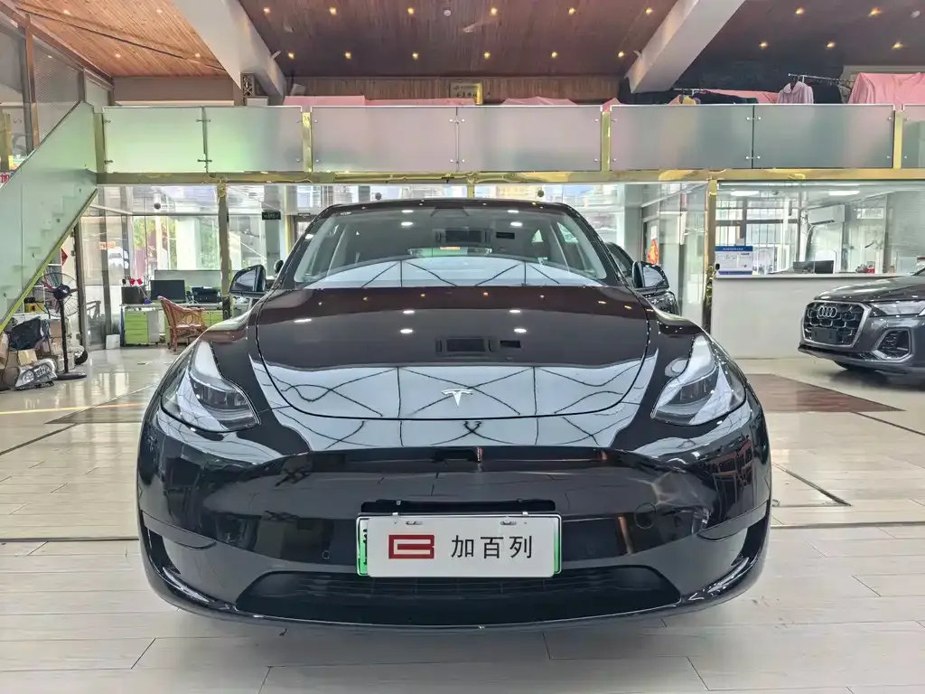 Tesla Model Y — фото 8