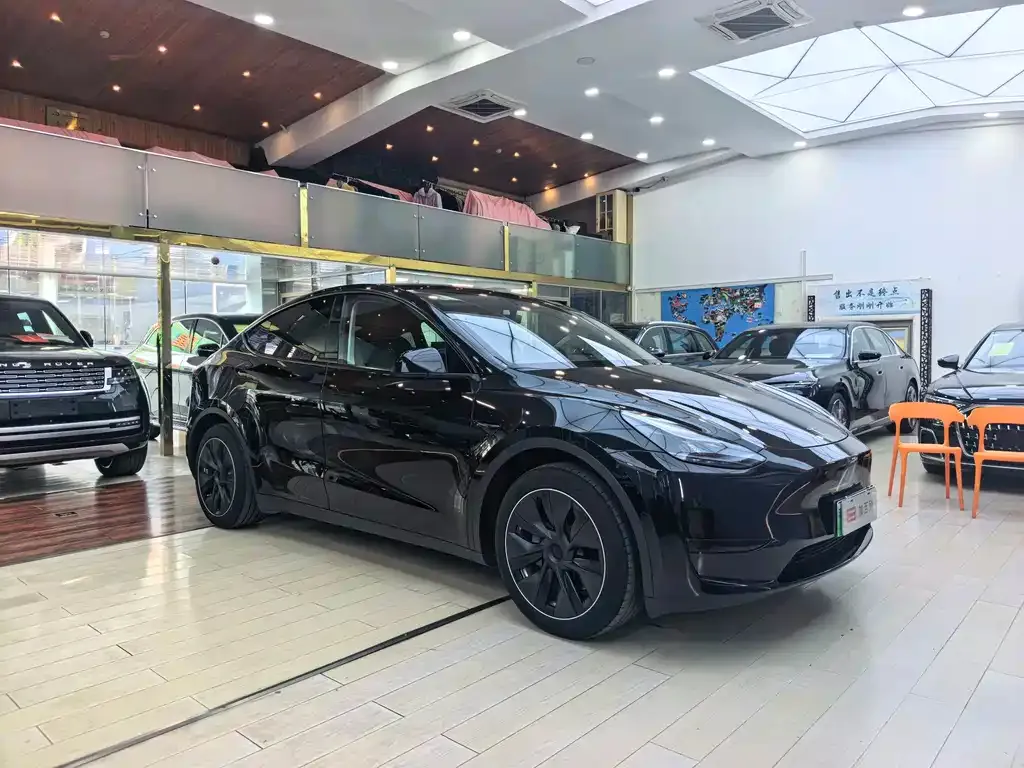 Tesla Model Y — фото 2