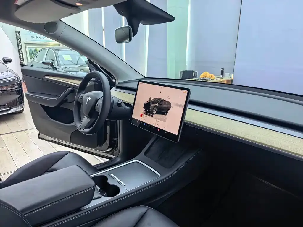 Tesla Model Y — фото 10