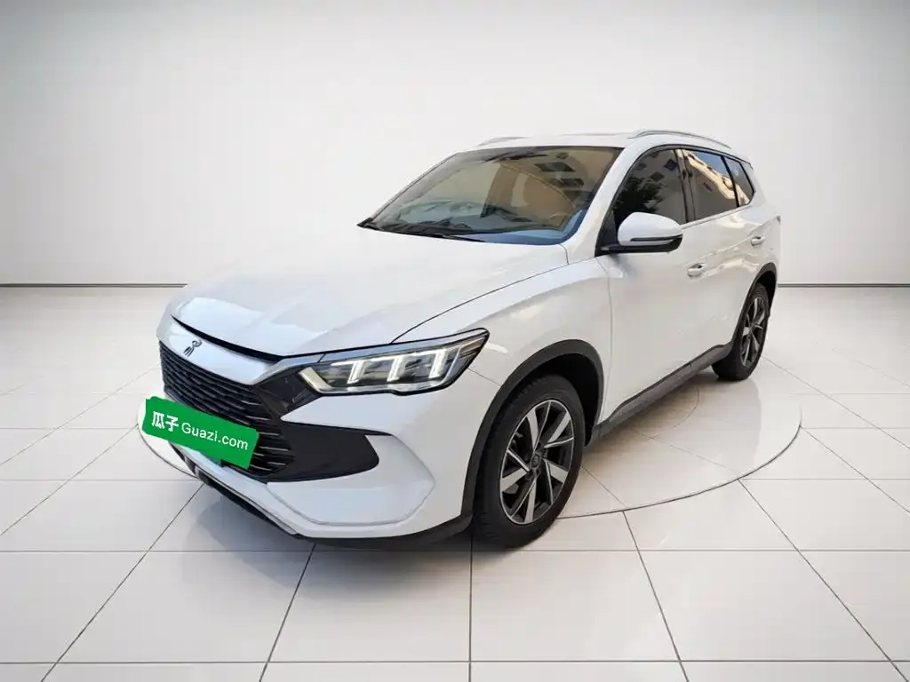BYD Pro New Energy — фото 1
