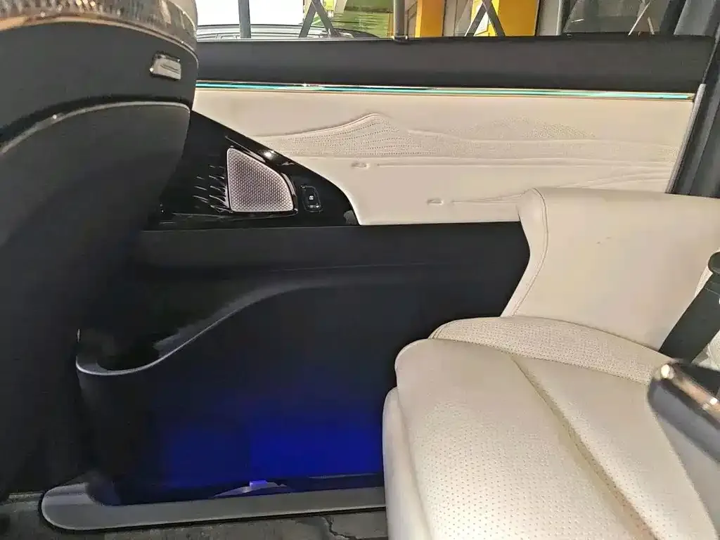 GAC Motor Trumpchi E9 — фото 2