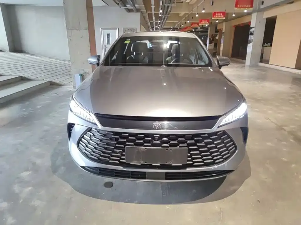 BYD Qin PLUS — фото 3