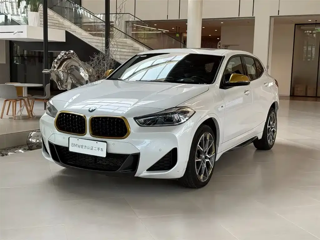 BMW X2 — фото 1
