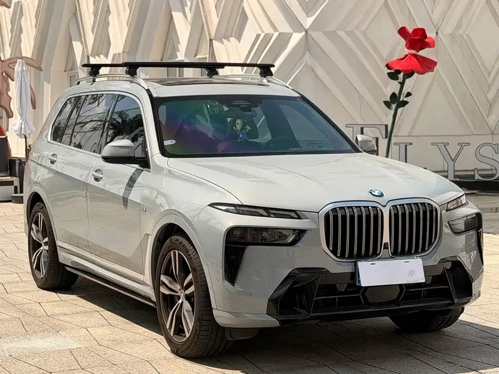 BMW X7 — фото 6
