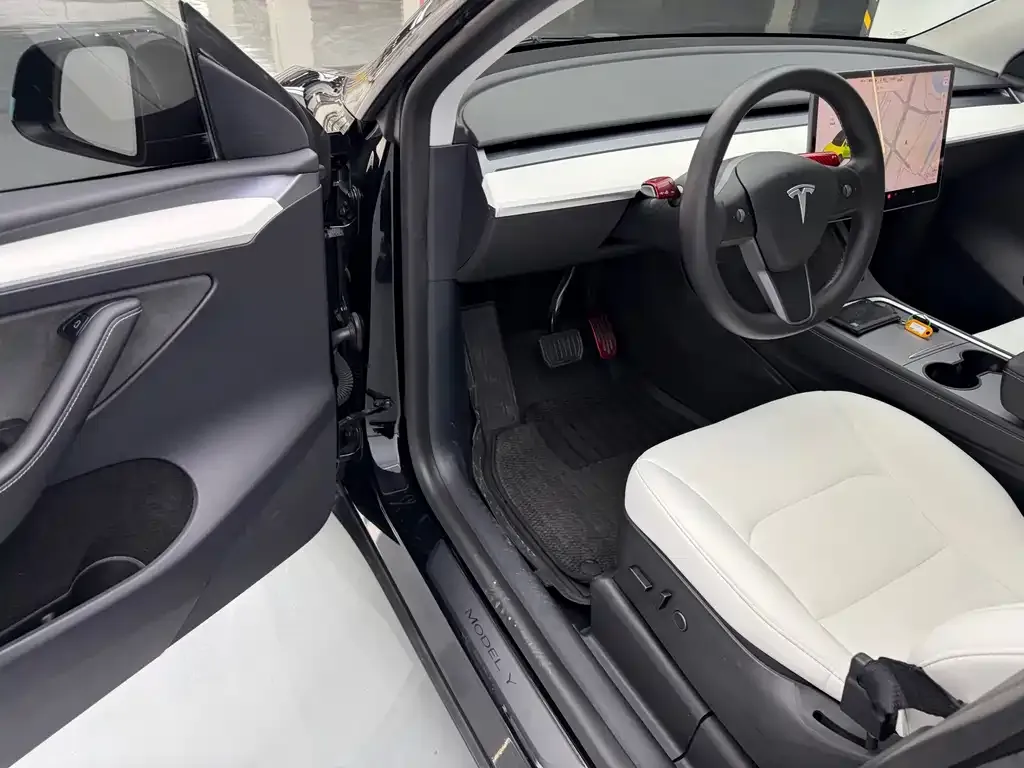 Tesla Model Y — фото 10