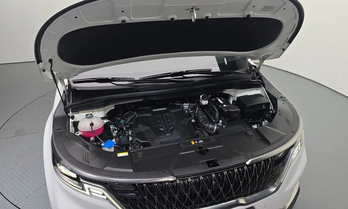 Kia Carnival — фото 7