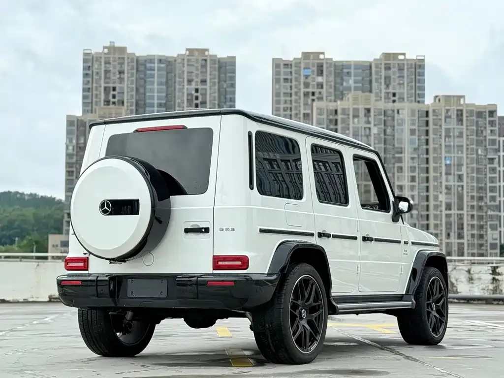 Mercedes-Benz G-Class AMG — фото 10