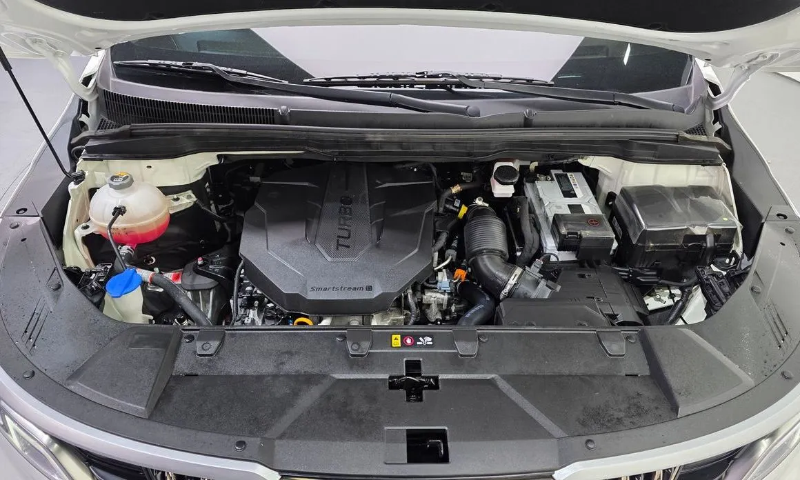Kia Carnival — фото 10