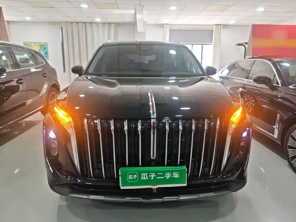Hongqi HS7 PHEV — фото 4