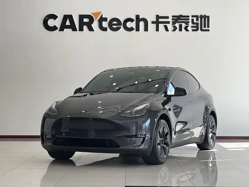 Tesla Model Y — фото 1