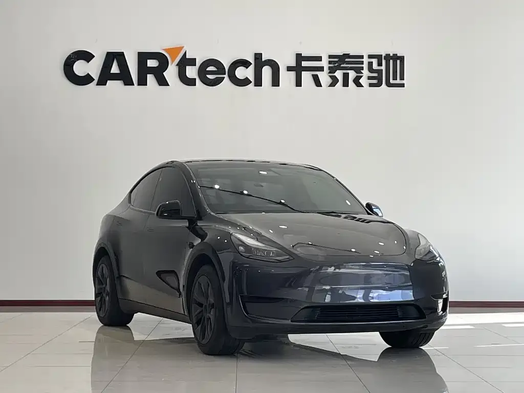 Tesla Model Y — фото 2