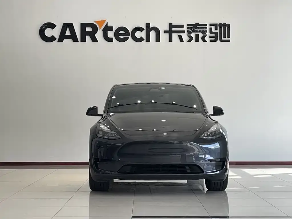 Tesla Model Y — фото 6