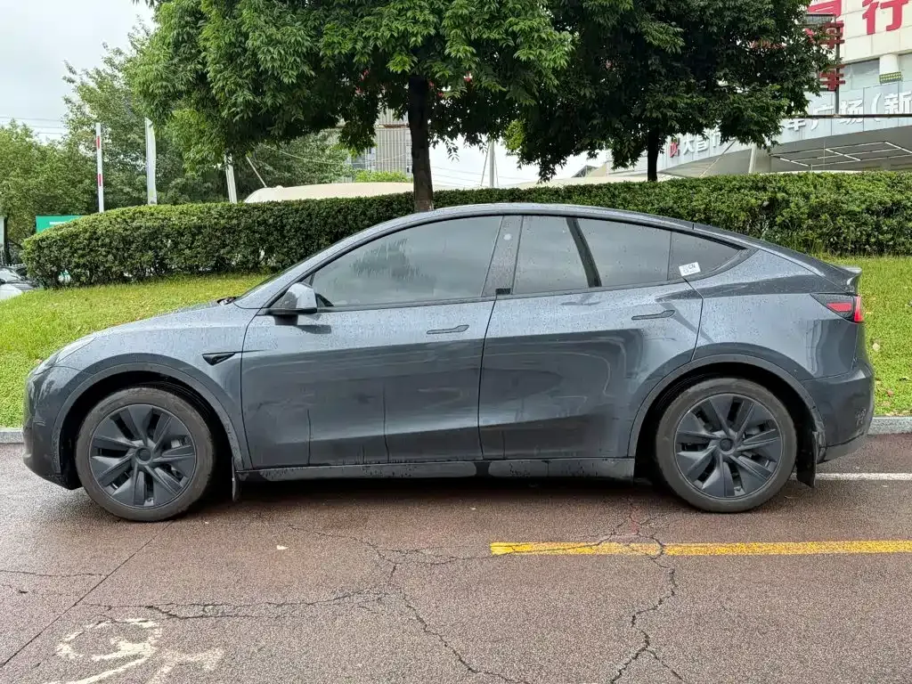 Tesla Model Y — фото 10