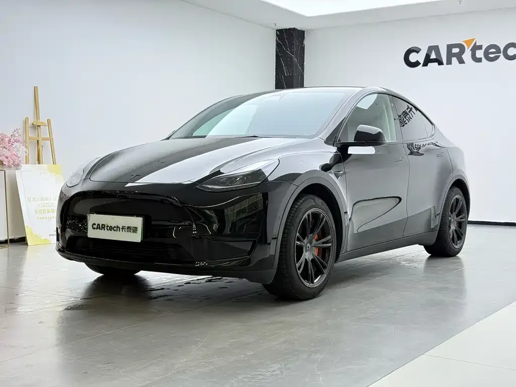 Tesla Model Y — фото 1