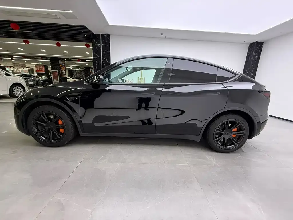 Tesla Model Y — фото 10