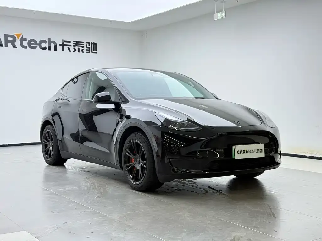 Tesla Model Y — фото 3