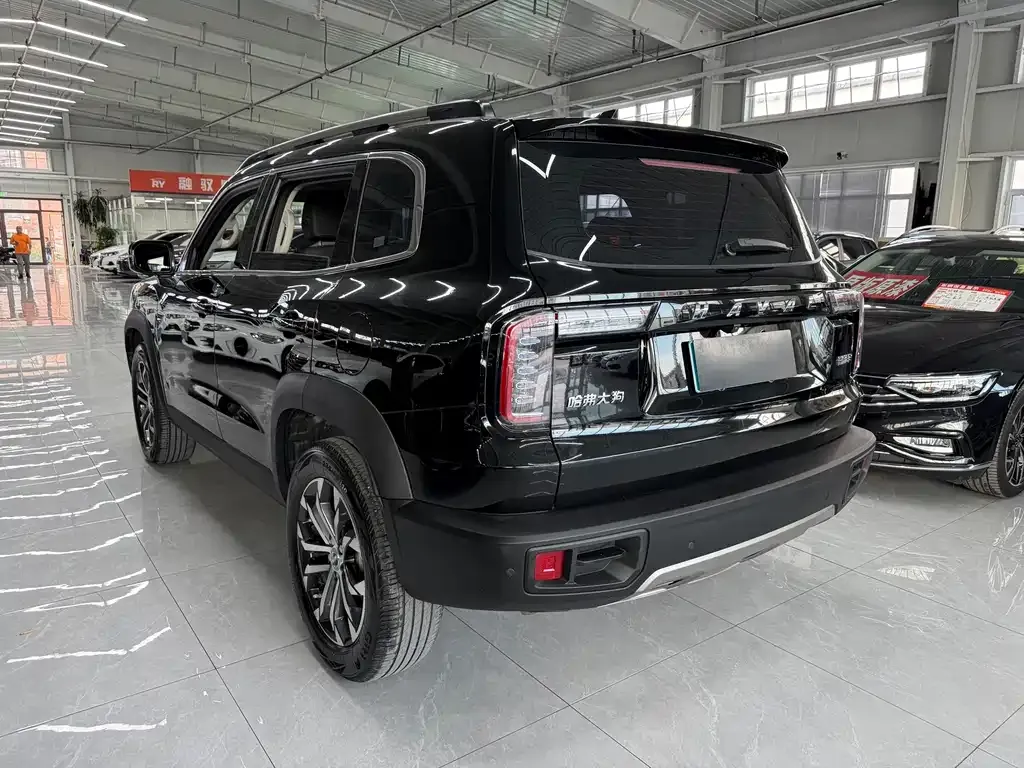 Haval Big Dog — фото 6