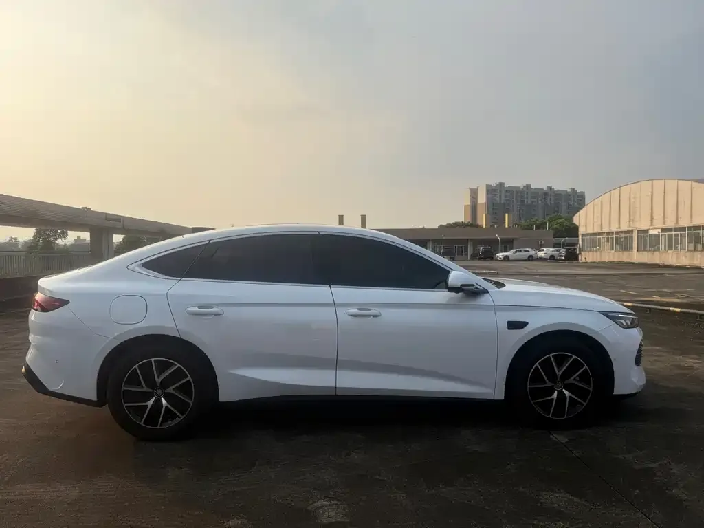 BYD Qin L — фото 3