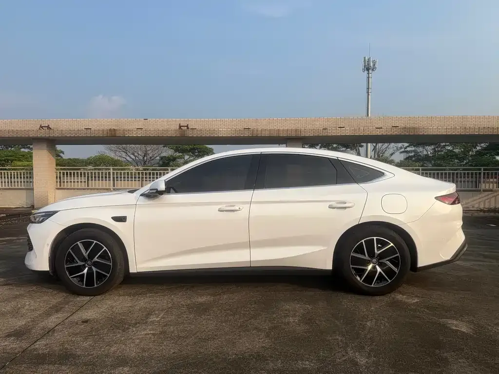 BYD Qin L — фото 4