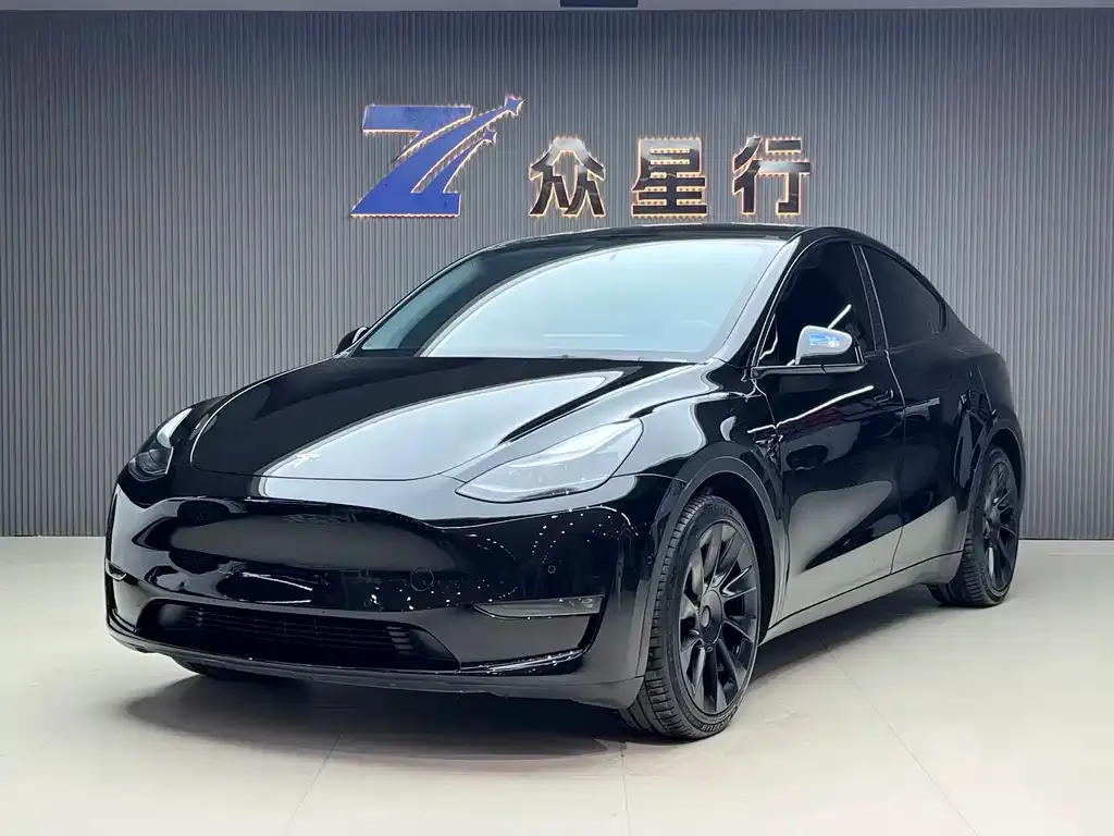 Tesla Model Y — фото 1