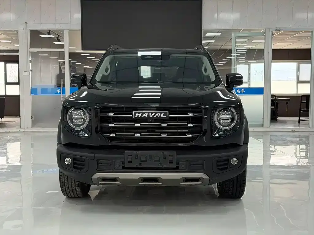 Haval Big Dog — фото 7