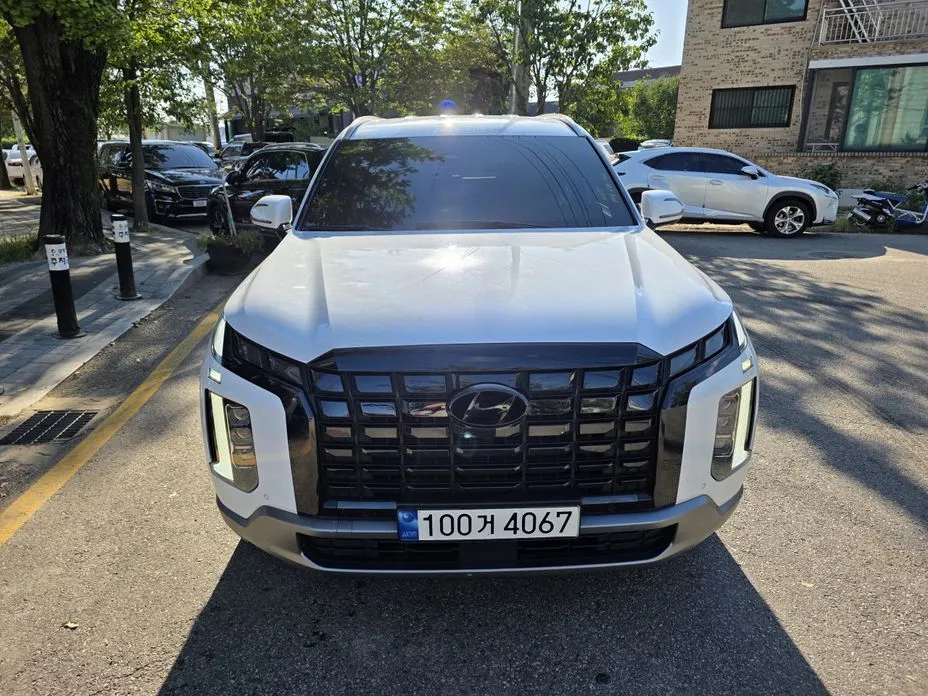 Hyundai Palisade — фото 1