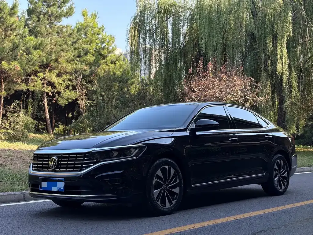 Volkswagen Passat — фото 1