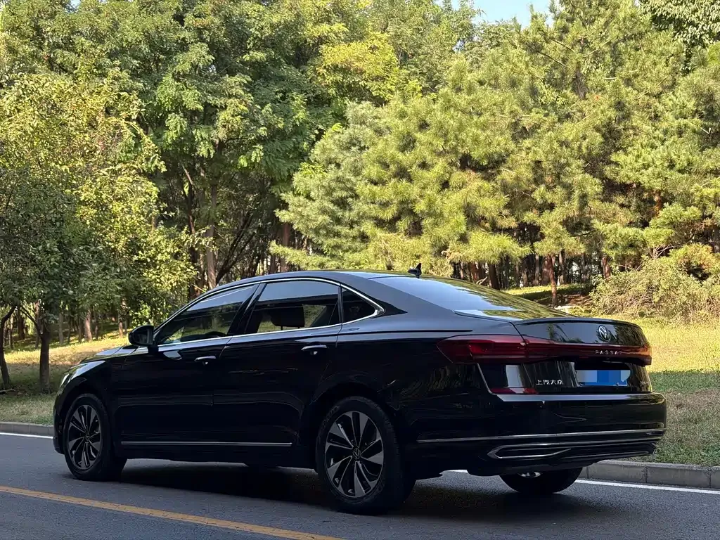 Volkswagen Passat — фото 10